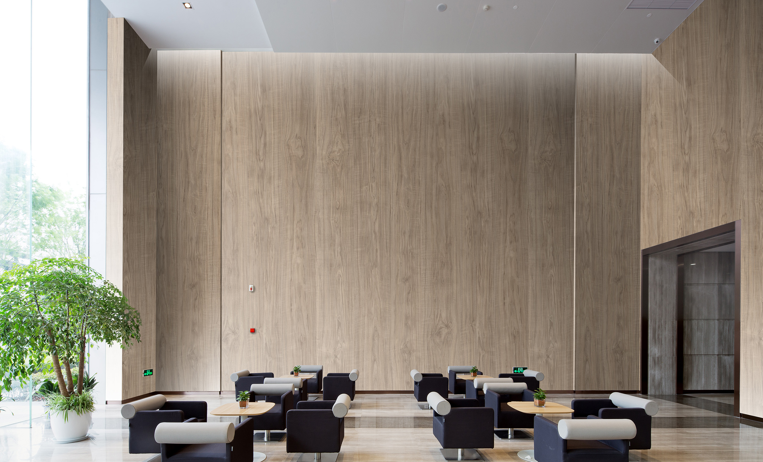 Persian Walnut